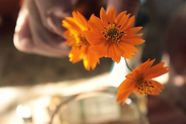 caipirinha de flores com cachaca artesanal 10