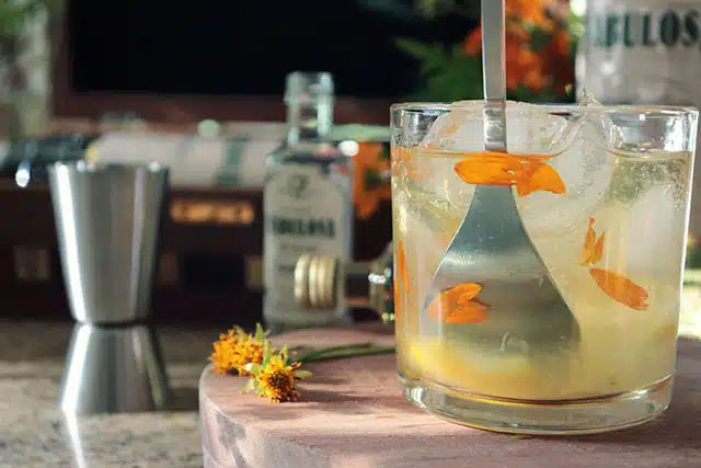 Caipirinha De Flores Com Cachaca Artesanal 15 Caipirinha De Flores Com Cachaca Artesanal 15