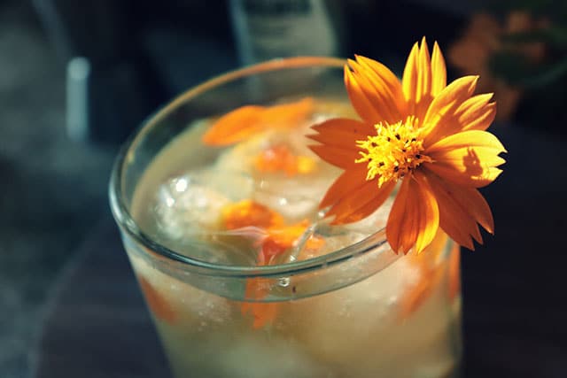 caipirinha de flores com cachaca artesanal