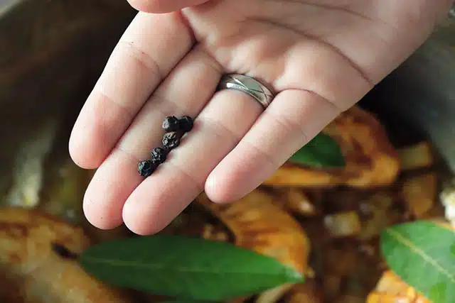 Frango Caipira Com Pequi E Cachaca 15 Frango Caipira Com Pequi E Cachaça 15