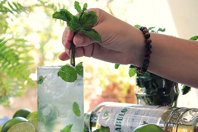 Mojito de Cachaça Fabulosa 14