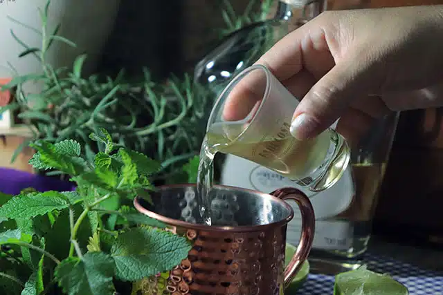 Moscow Mule De Cachaca Fabulosa 14 Moscow Mule De Cachaça Fabulosa 14