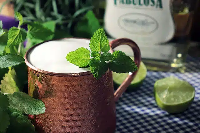 Moscow Mule De Cachaca Fabulosa 21 Moscow Mule De Cachaça Fabulosa 21