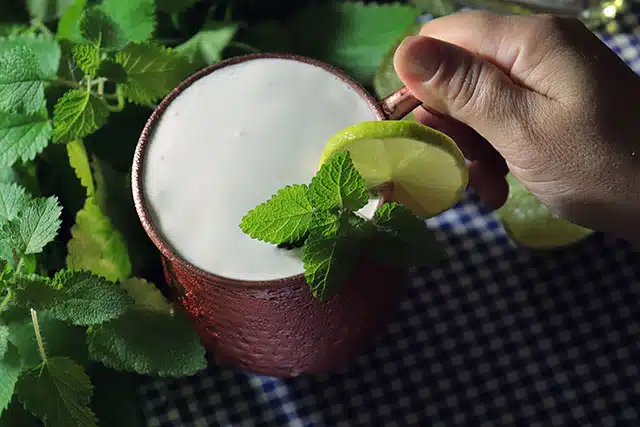 Moscow Mule De Cachaca Fabulosa 23 Moscow Mule De Cachaça Fabulosa 23